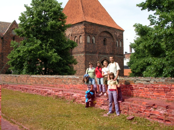 Ruiny zamku krzyackiego